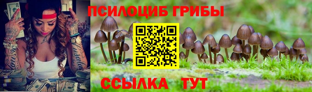 Верхняя Салда  Галлюциногенные грибы Psilocybine cubensis  Вход с VPN 